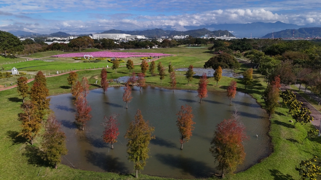 后里環保公園預估元旦期間花海盛開