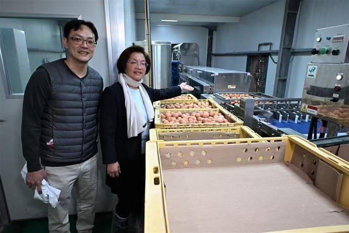 全台首座！北斗全佑牧場引進歐洲立體平飼系統 王惠美讚：畜牧轉型典範